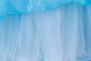 Rainha Elsa